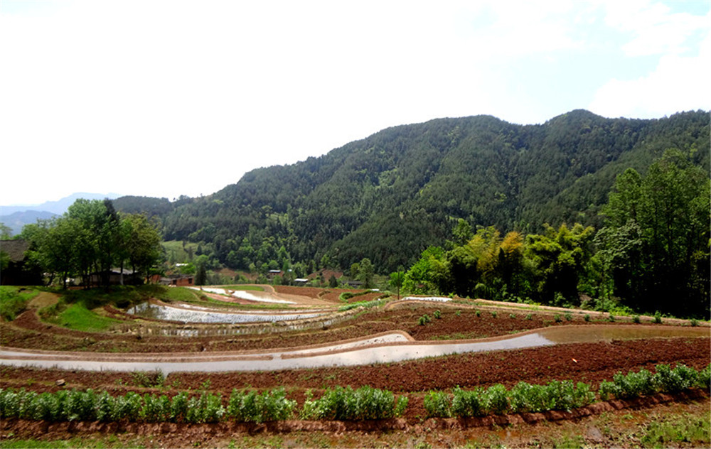 阳坪村(图4)