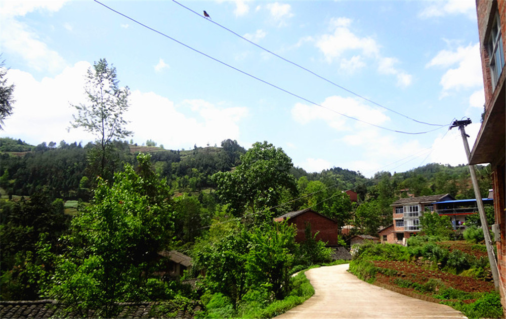 阳坪村(图5)