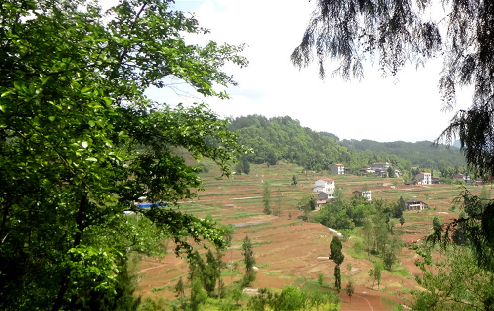 阳坪村(图6)