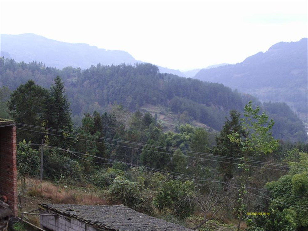 2012年的阳河村