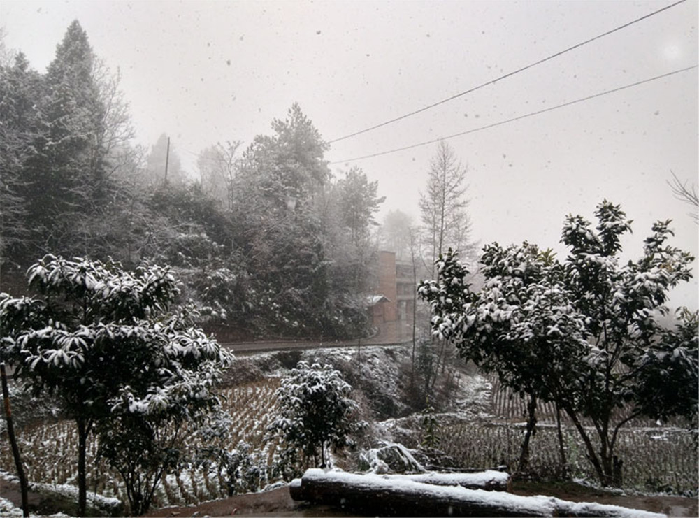 2016年罗田古镇的一场大雪