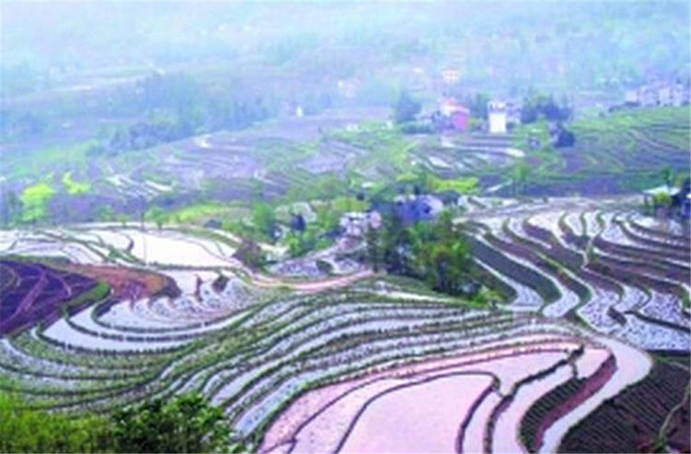 农业政策性保险（美丽阳河公众号提供）