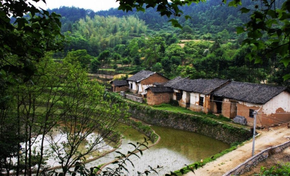 重庆深山里的一座古镇，盛产大米，据说是皇帝专供(图7)