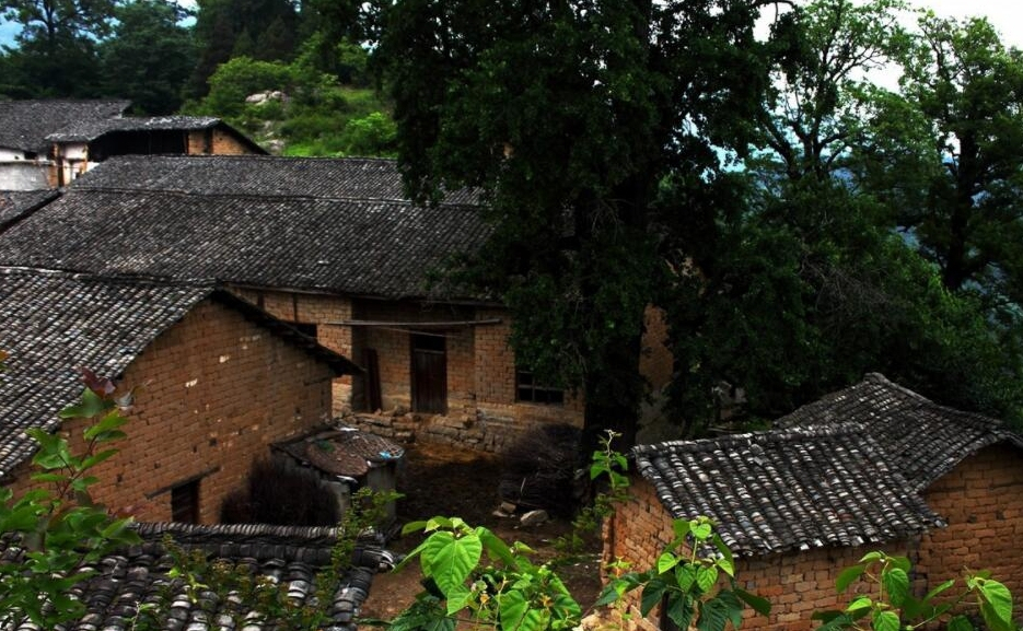 重庆深山里的一座古镇，盛产大米，据说是皇帝专供(图9)
