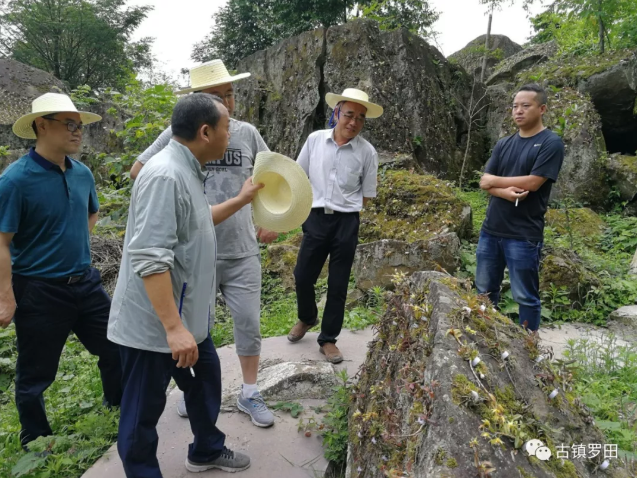 重庆三峡国有资本运营集团有限公司到罗田镇开展“国企进村”活动